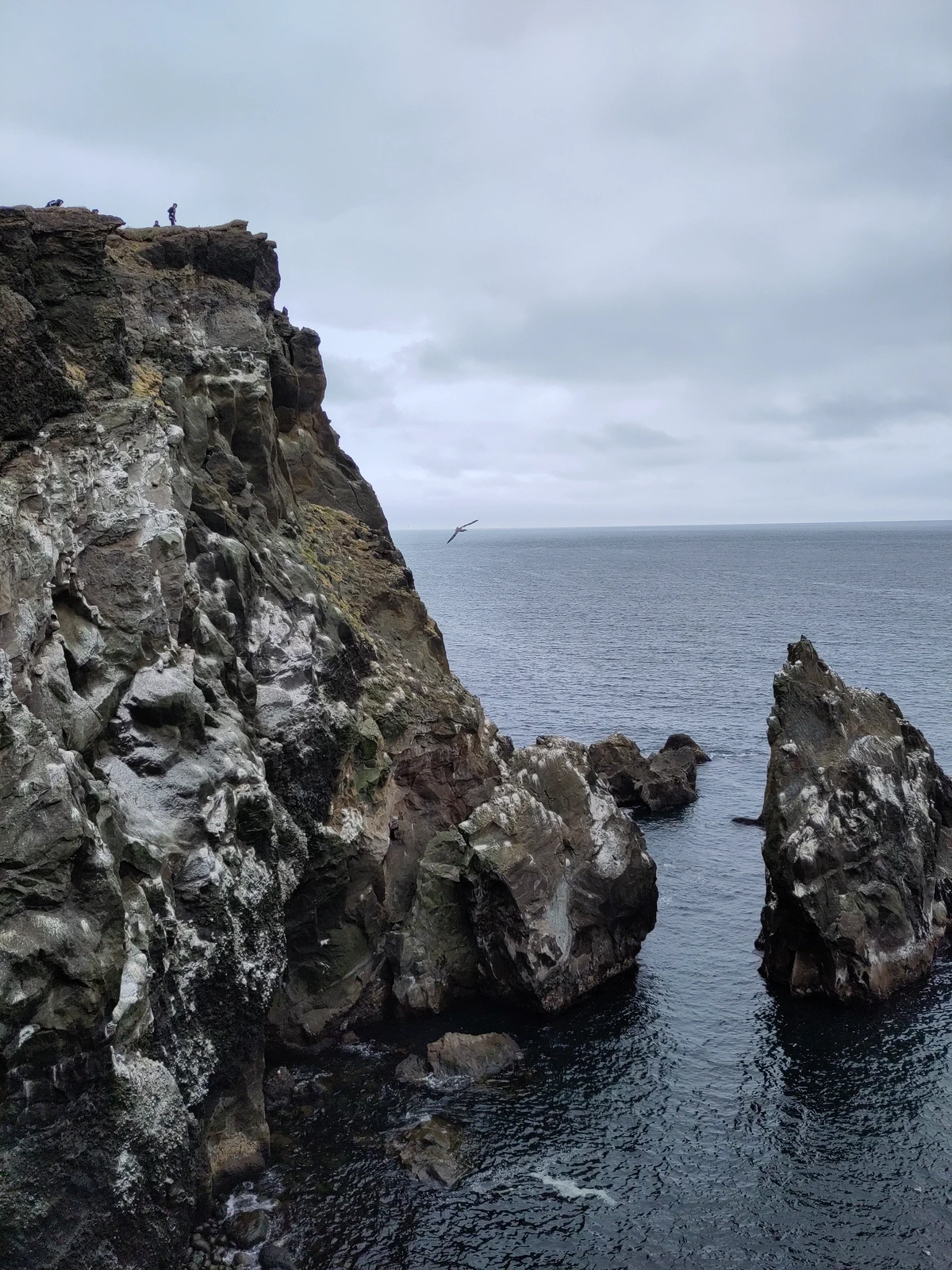 Steilklippe am Valahnúkur mit weiß gesprenkelten Felsen und zwei Felsnadeln im Meer