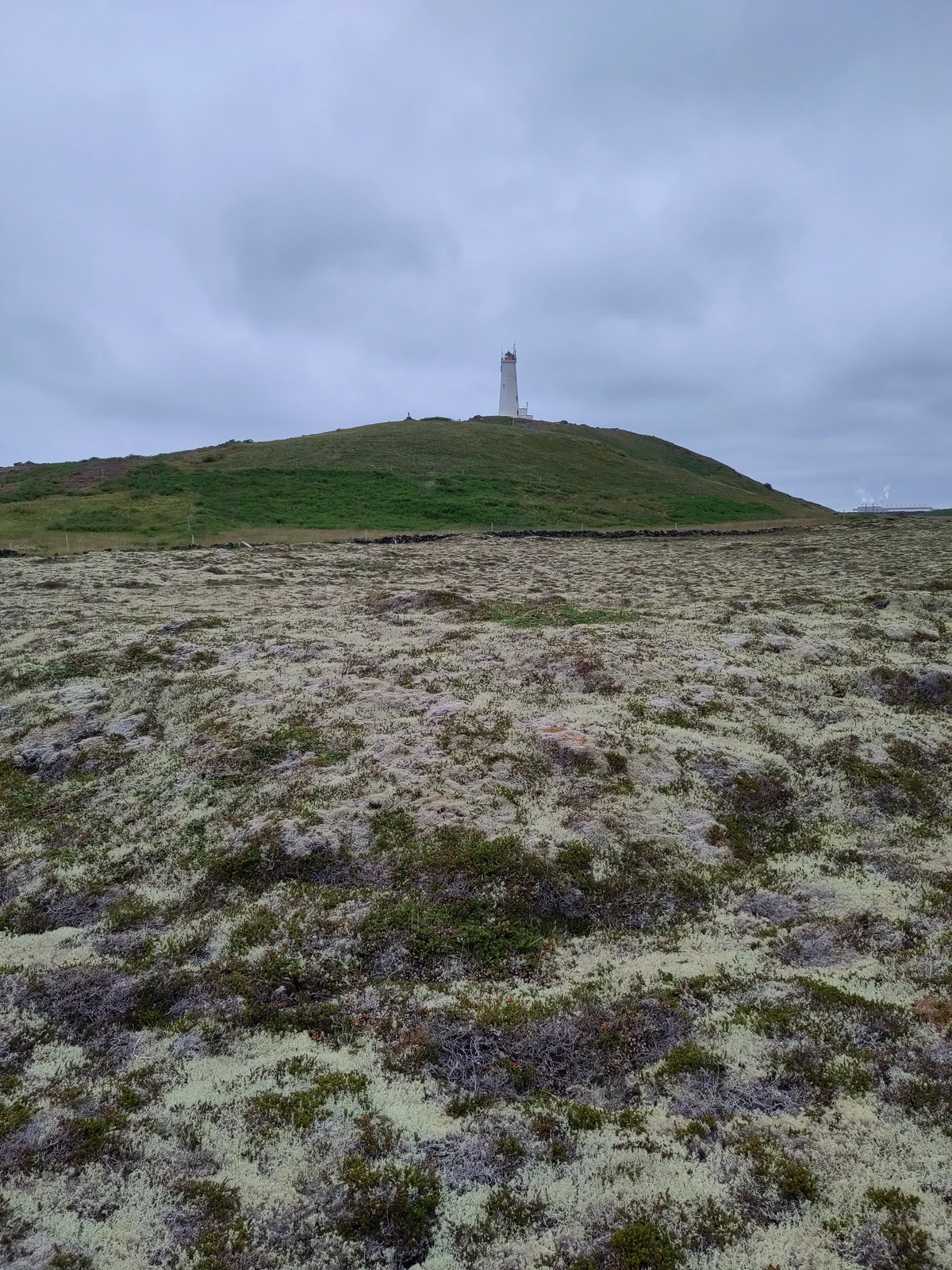 Leuchtturm auf einem grünen Hügel hinter einem mit Moos und Flechten bewachsenen Lavafeld