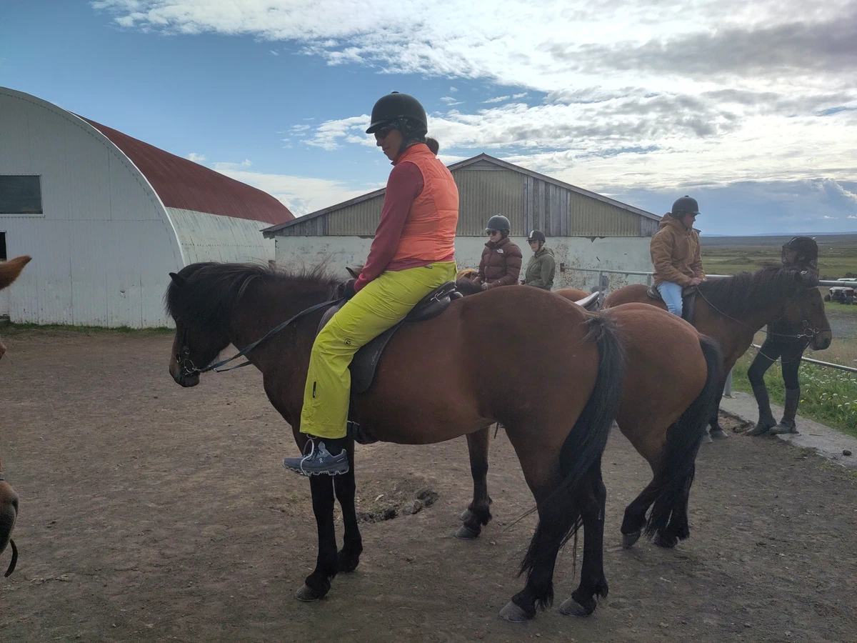Reiterin in gelber Hose und oranger Weste auf einem braunen Islandpferd, dahinter weitere Reiter