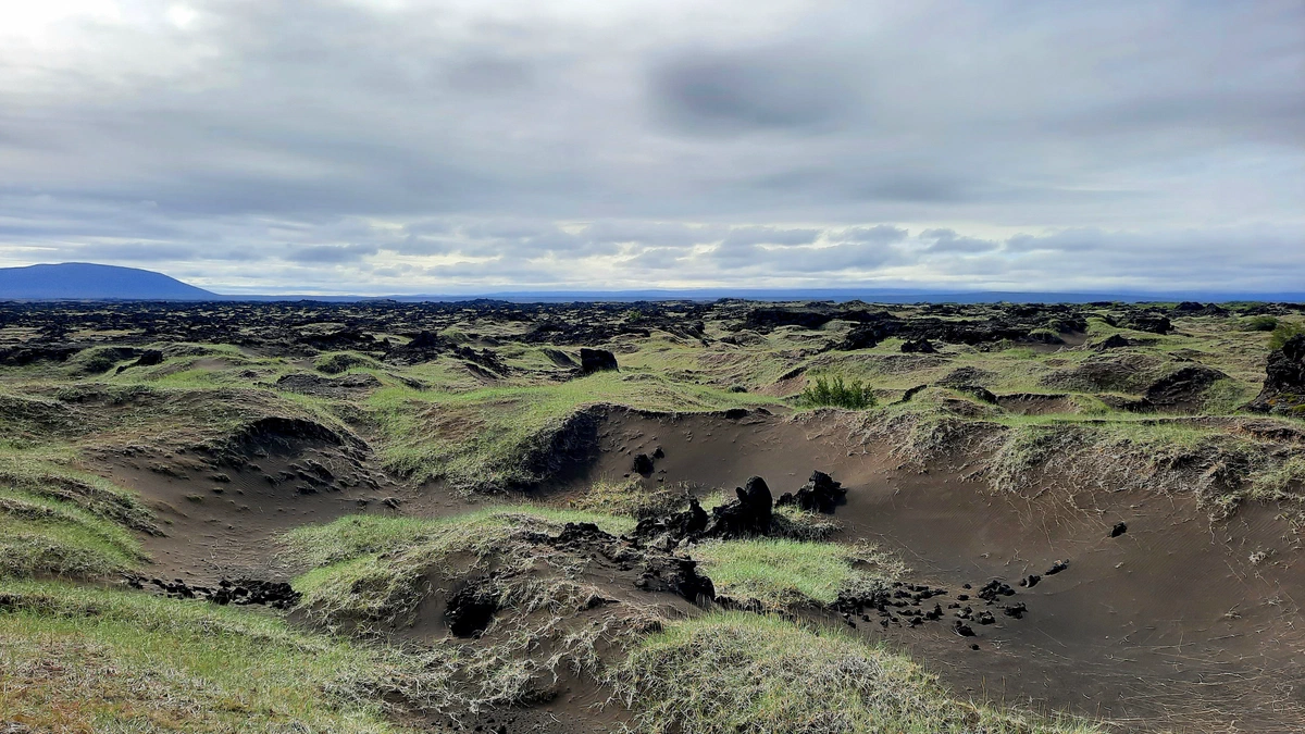 Weite Ebene aus schwarzem Sand mit grünen Grasinseln