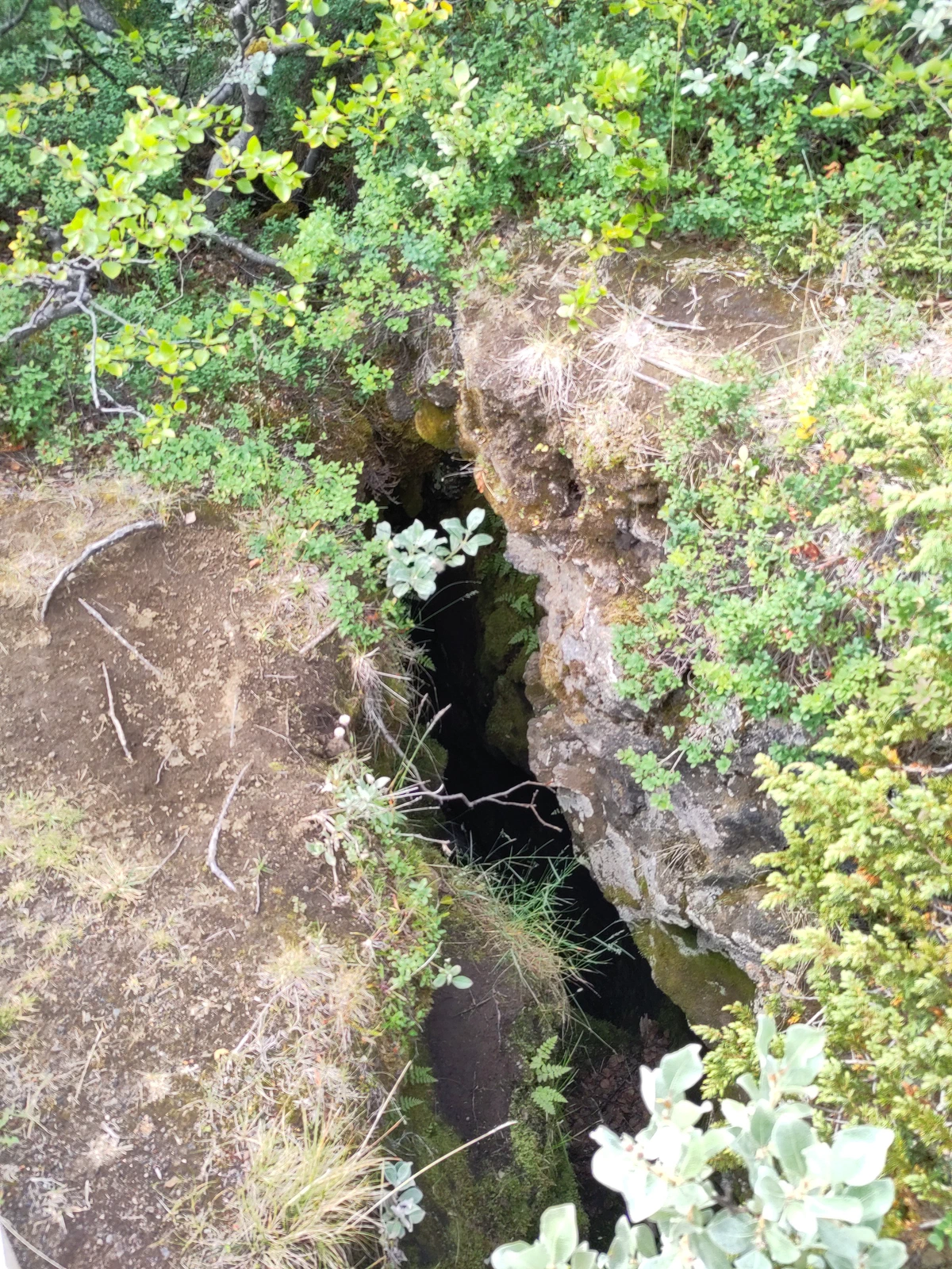 Tiefe, schmale Spalte im Boden zwischen Gras und Büschen