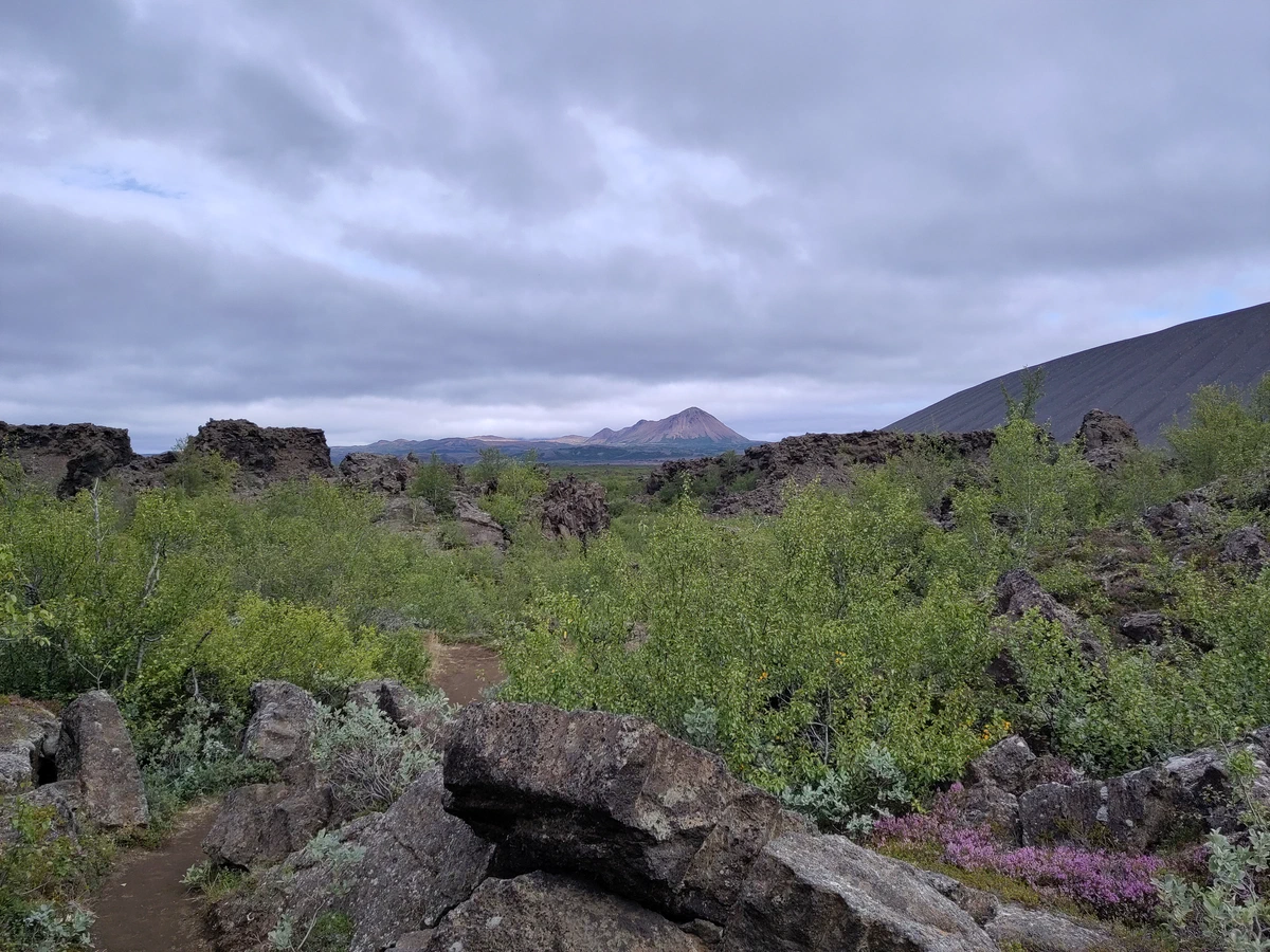 Lavabrocken und Birkengebüsch in Dimmuborgir, dahinter der dunkle Hang eines Kraters