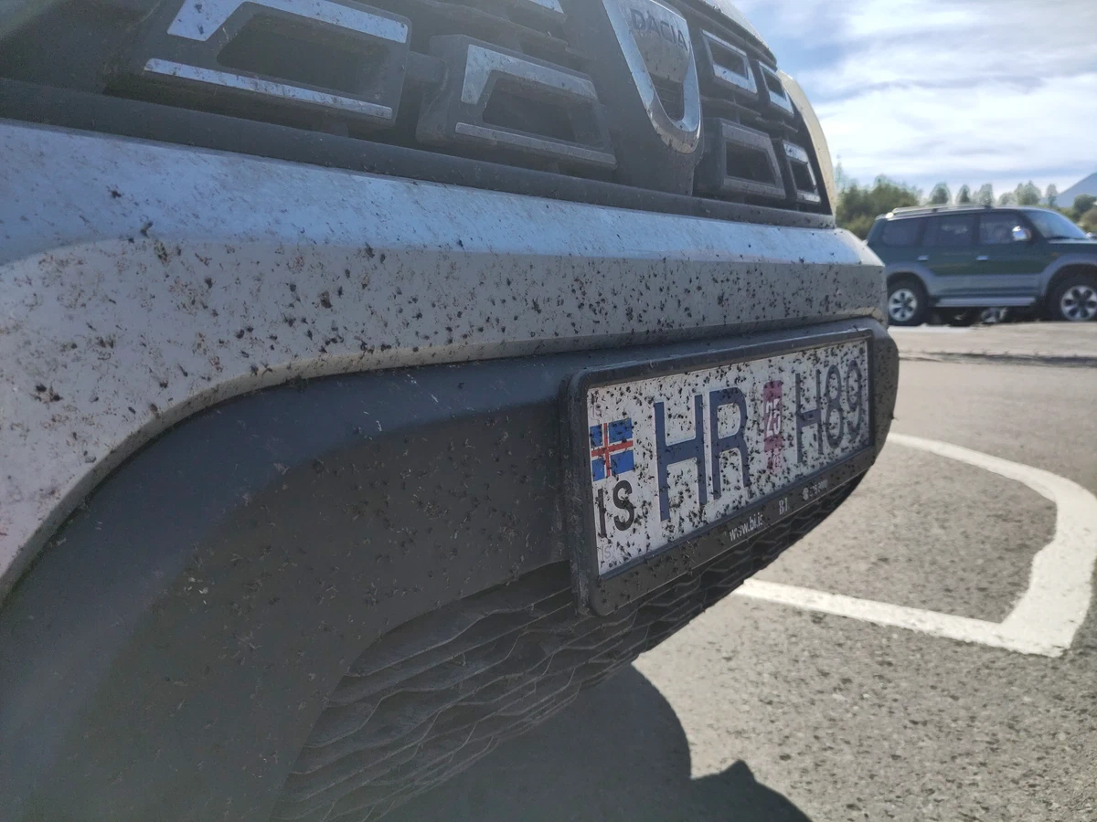 Kühlergrill und Nummernschild des Autos, übersät mit toten Mücken