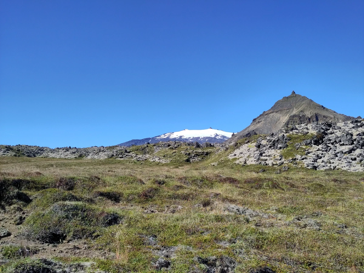 Kegelförmiger Berg über einer Wiese, dahinter die Schneekuppe des Snæfellsjökull