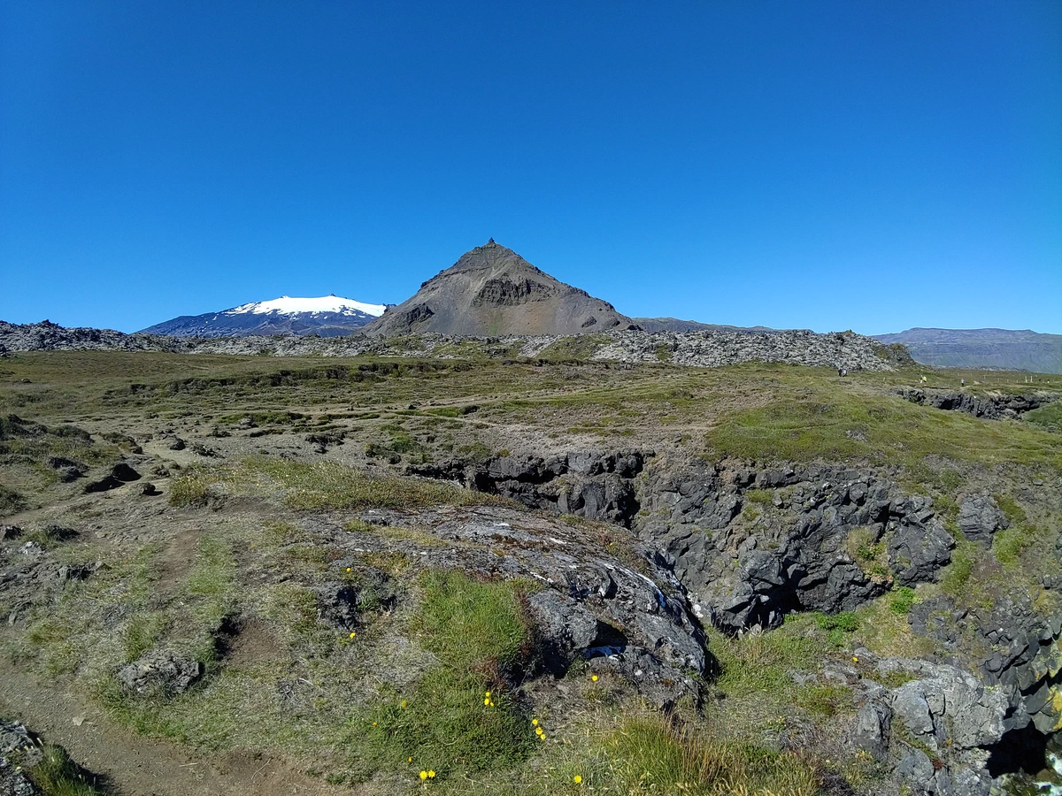 Zerklüftete Lavaküste mit grünen Polstern, im Hintergrund der kegelförmige Berg und der Gletscher