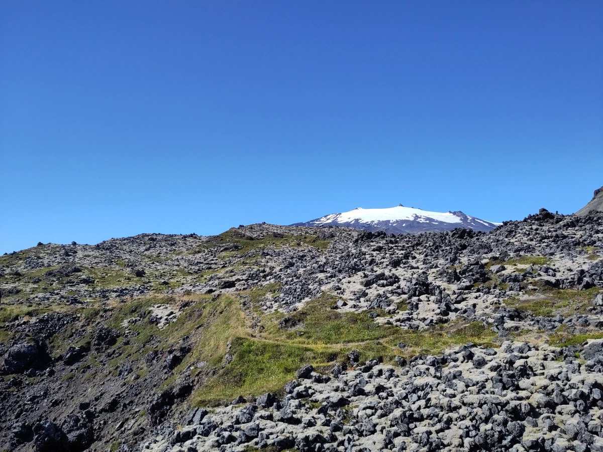 Moosbewachsenes Lavafeld, am Horizont der schneebedeckte Snæfellsjökull