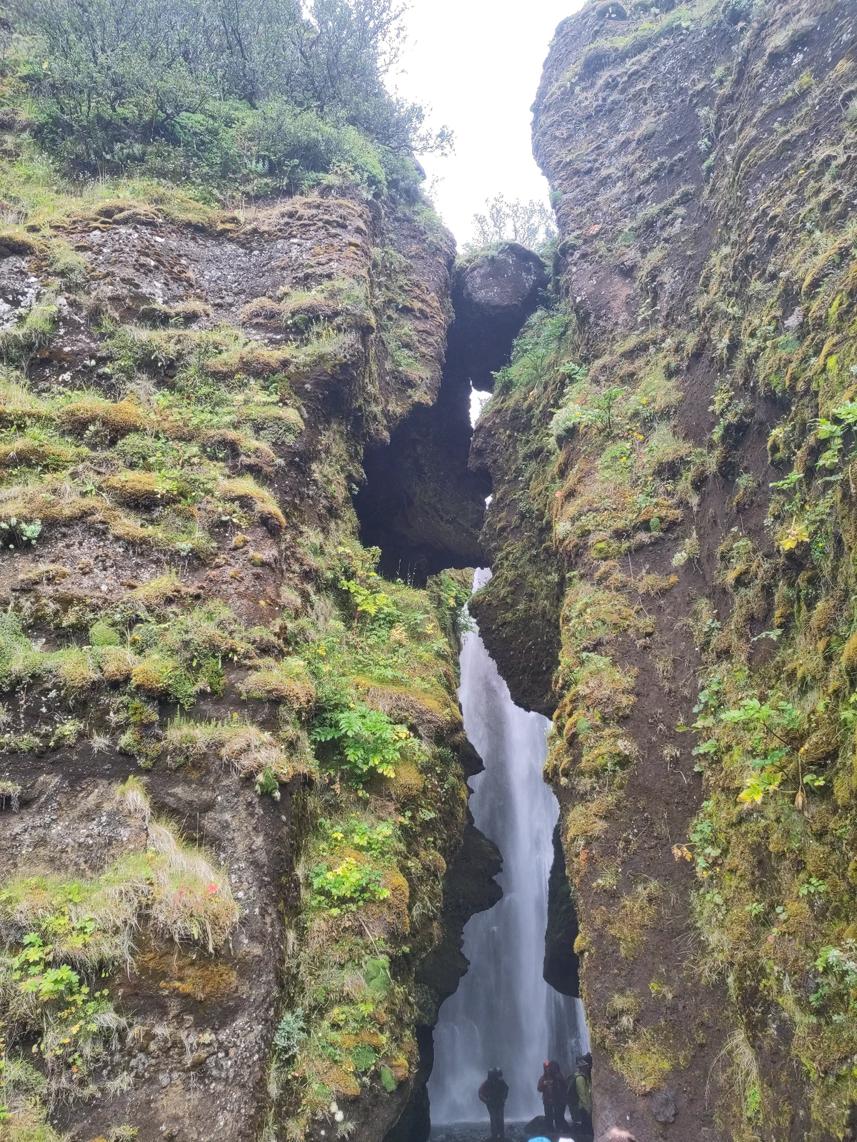 Gljúfurárfoss: der Wasserfall fällt versteckt hinter einer schmalen, moosbewachsenen Felsspalte