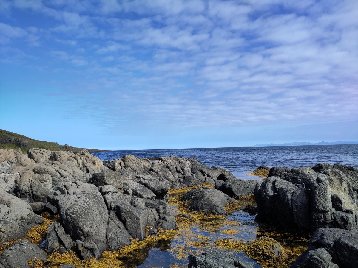 Dunkle, zerklüftete Felsen mit Tang am Meer unter blauem Himmel