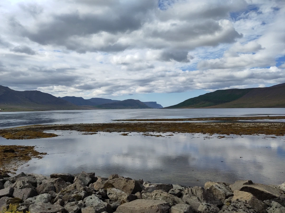 Flaches Wasser mit Tang und Steinen am Fjordende, in dem sich die Wolken spiegeln