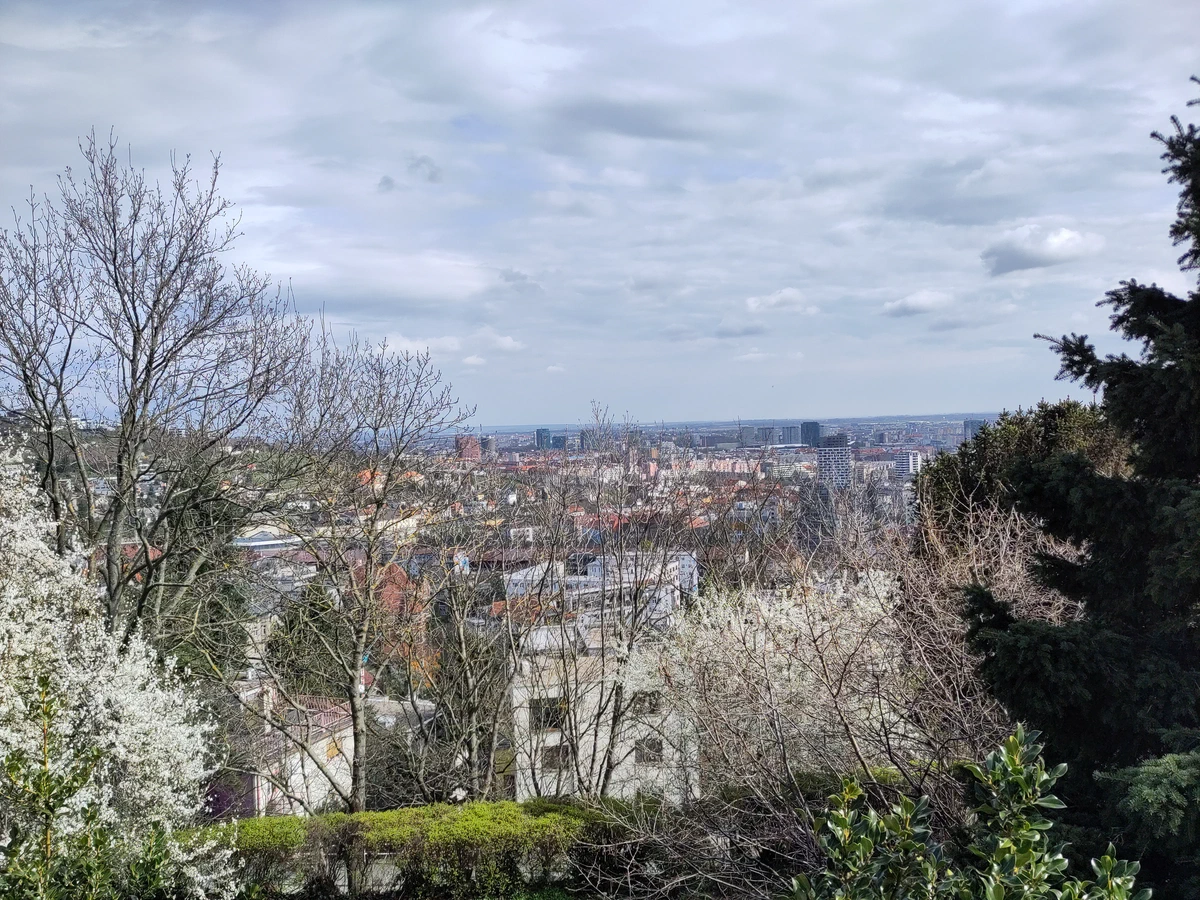 Aussicht über blühende Bäume auf die Stadt Bratislava