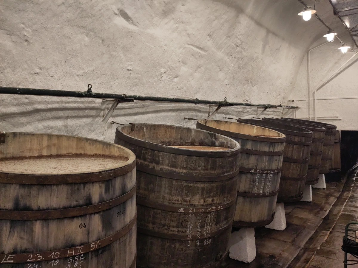 Große offene Holzbottiche im gewölbten Gärkeller