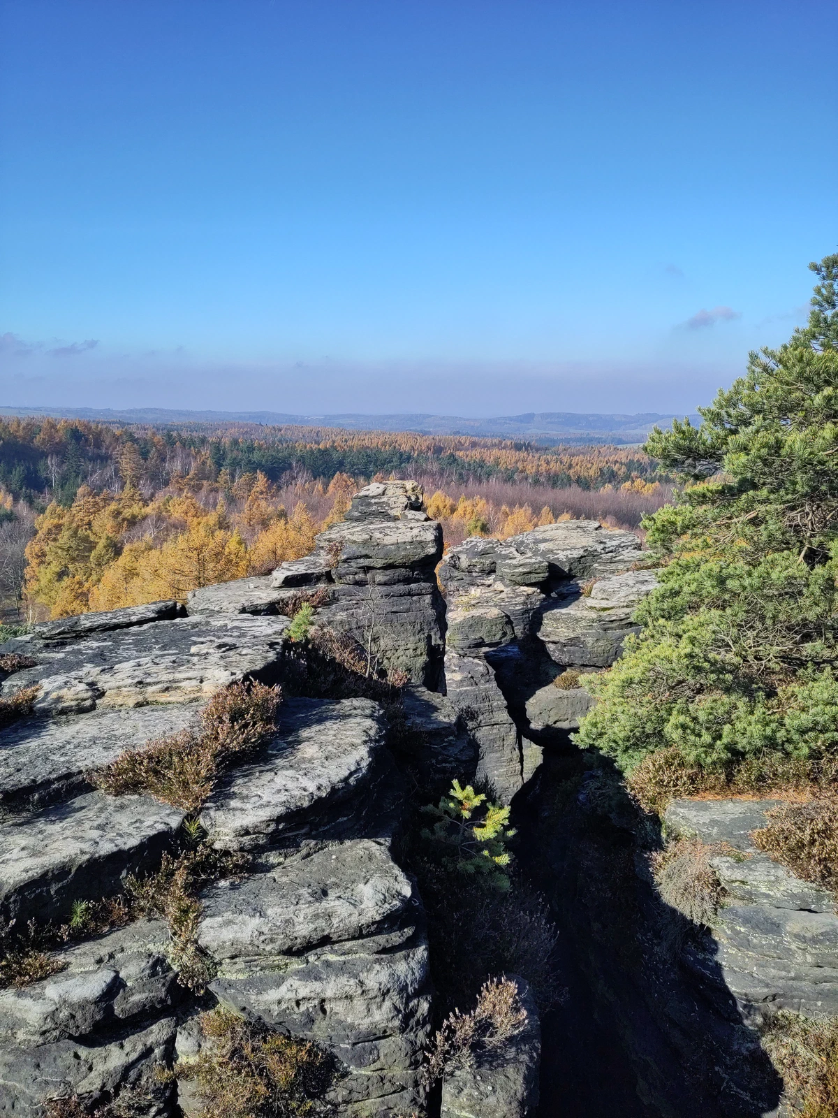 Sandsteinfelsen über herbstlichem Wald in der Böhmischen Schweiz