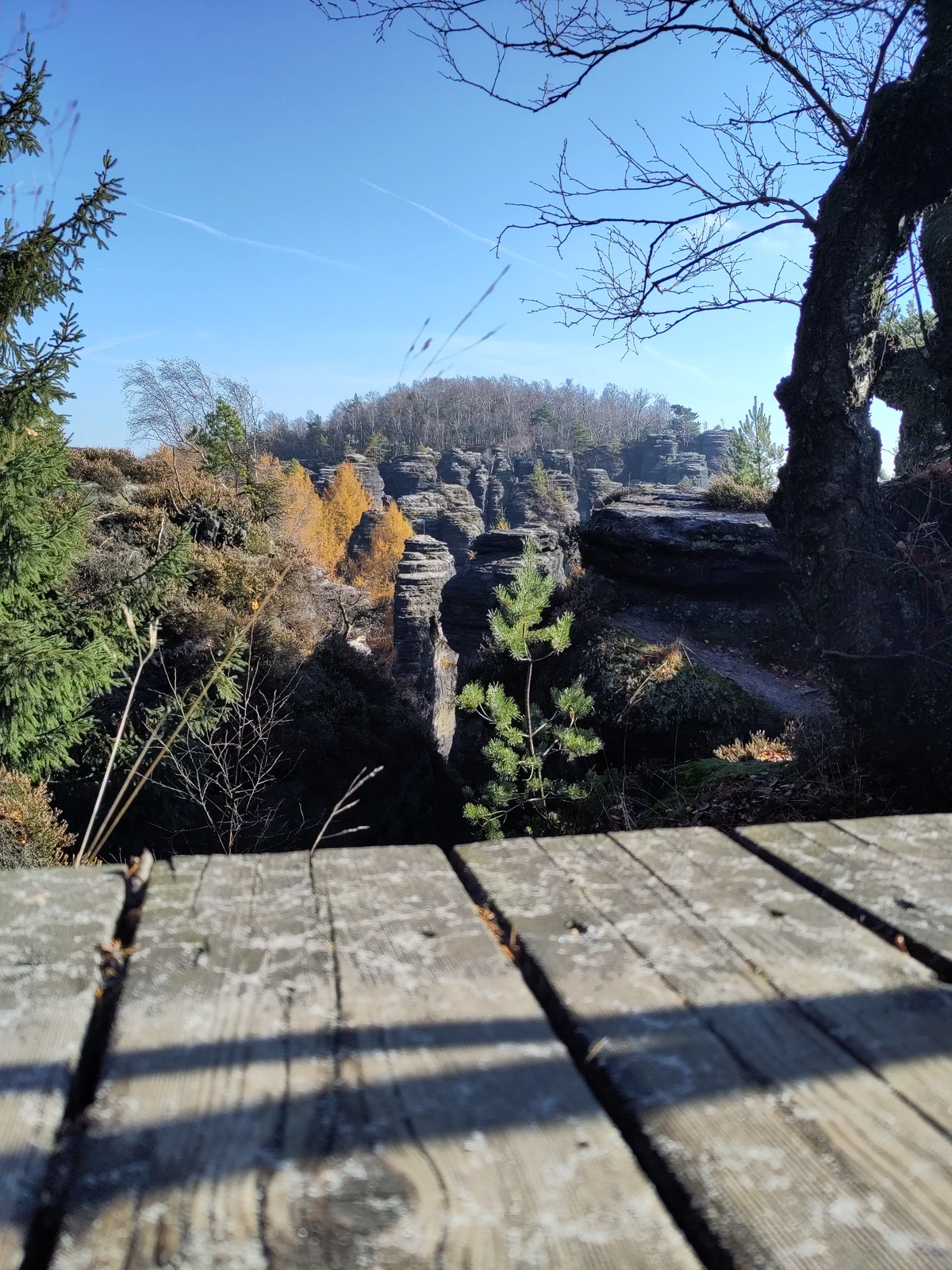 Blick von einer Holzplattform auf Sandsteintürme im Herbstwald