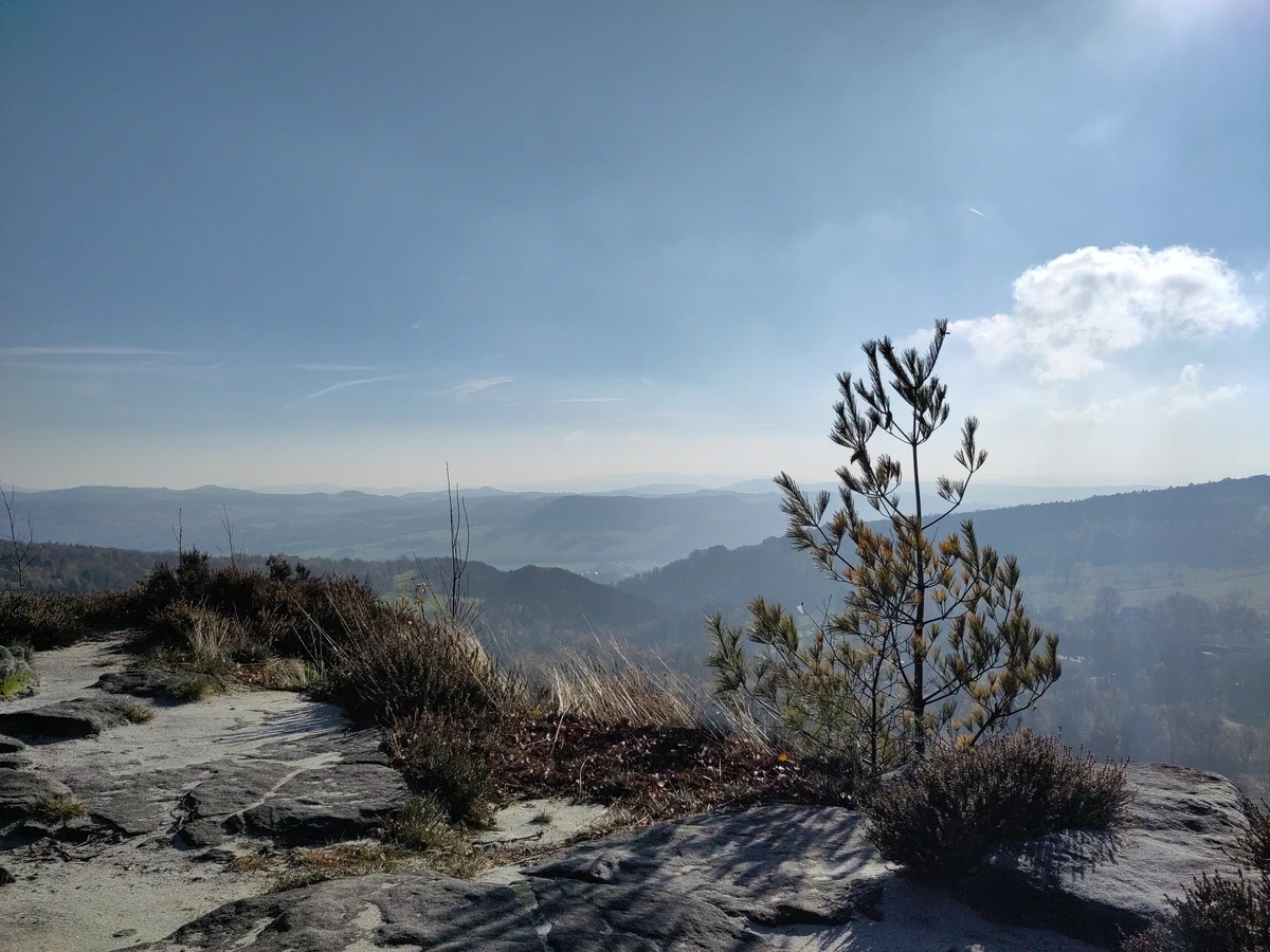 Aussicht von einem Felsplateau mit einer kleinen Kiefer über dunstige Hügelketten