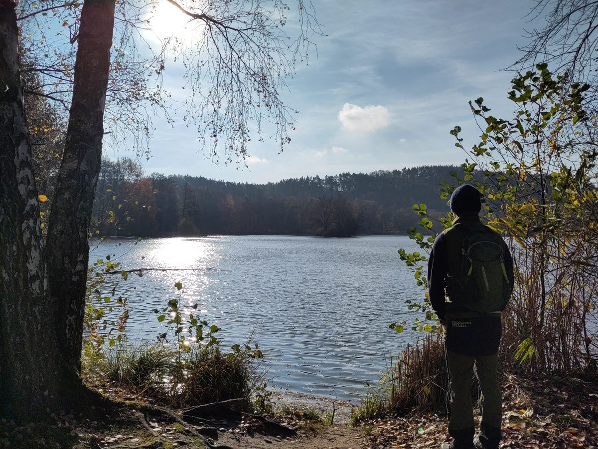 Eine Person steht am Ufer eines Waldsees und blickt ins Gegenlicht