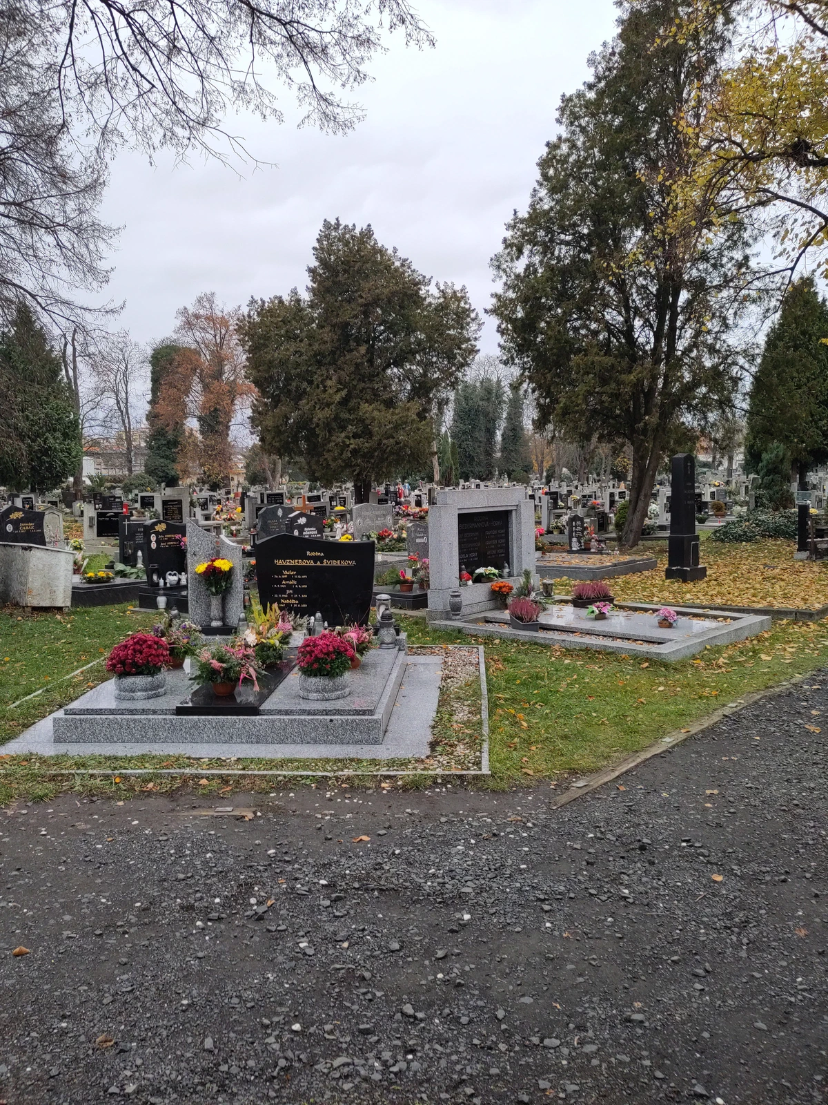 Gräber mit frischen Blumen auf dem Friedhof