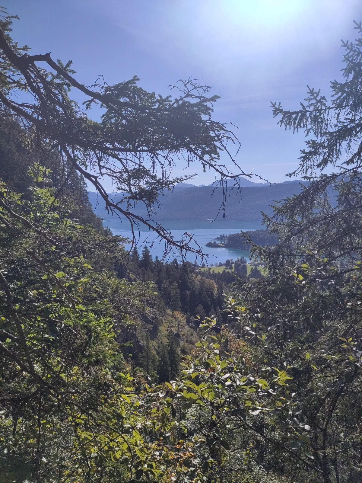 Blick zwischen Ästen hindurch auf den Walchensee