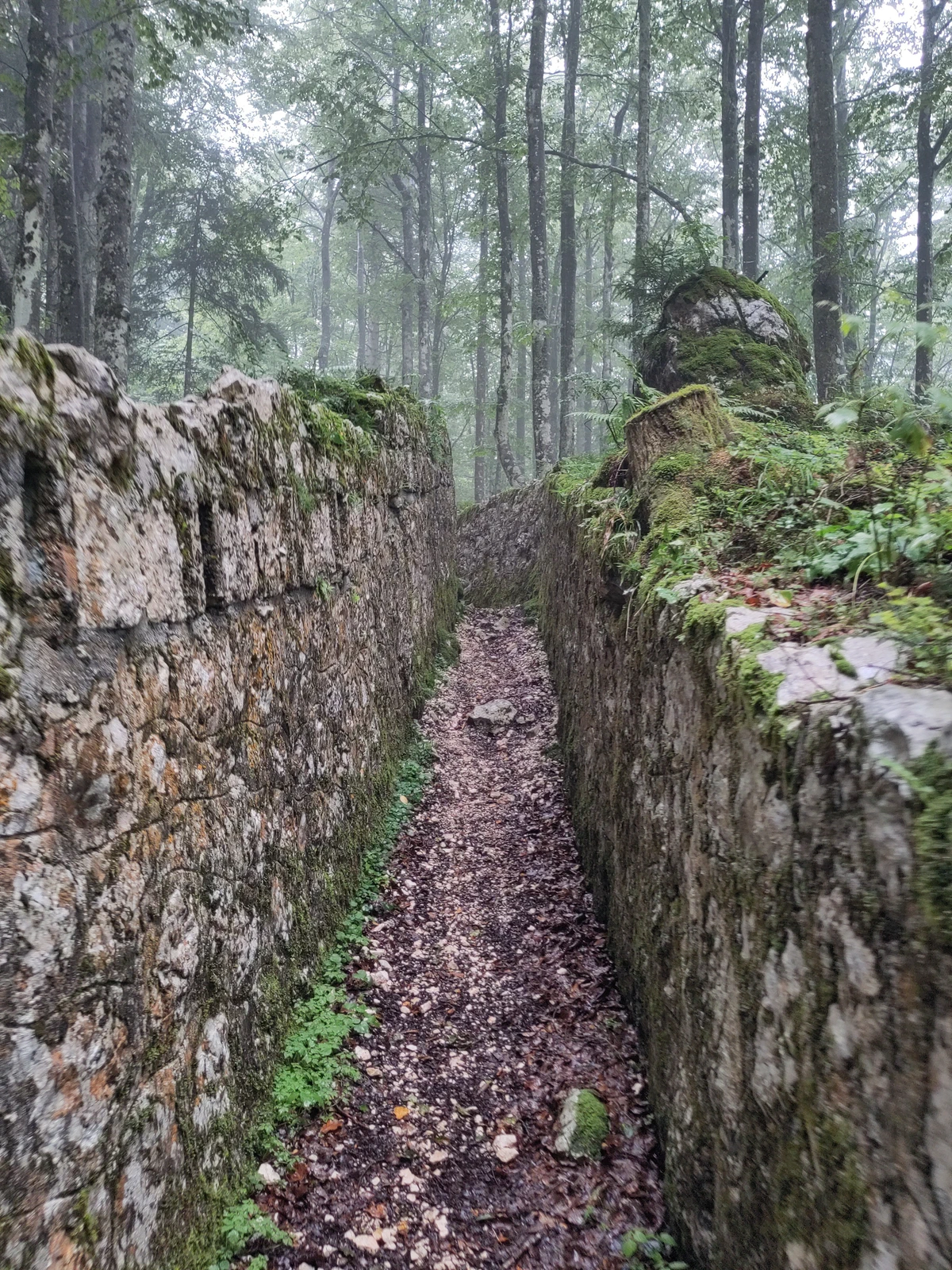 Blick in den Schützengraben zwischen bemoosten Steinmauern