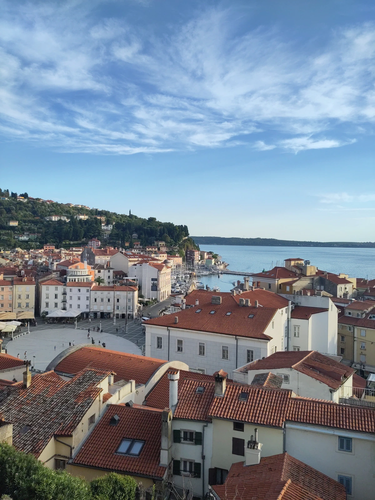 Blick von oben auf die Altstadt von Piran mit ihren roten Dächern und dem Hafen