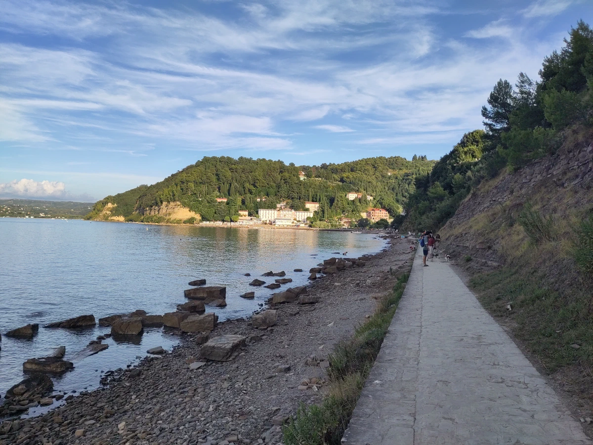 Uferweg an der Küste bei Piran mit Blick auf eine bewaldete Bucht