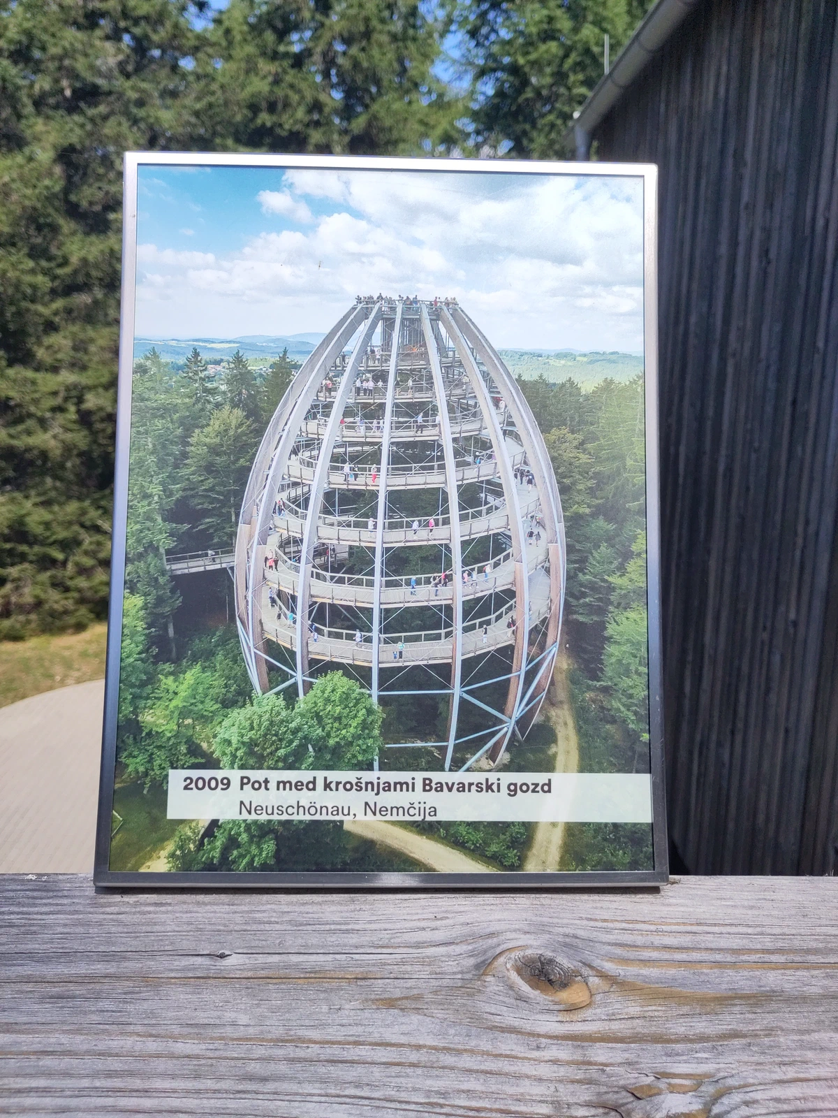 Schautafel am Baumwipfelpfad mit einem Foto des eiförmigen Turms im Bayerischen Wald