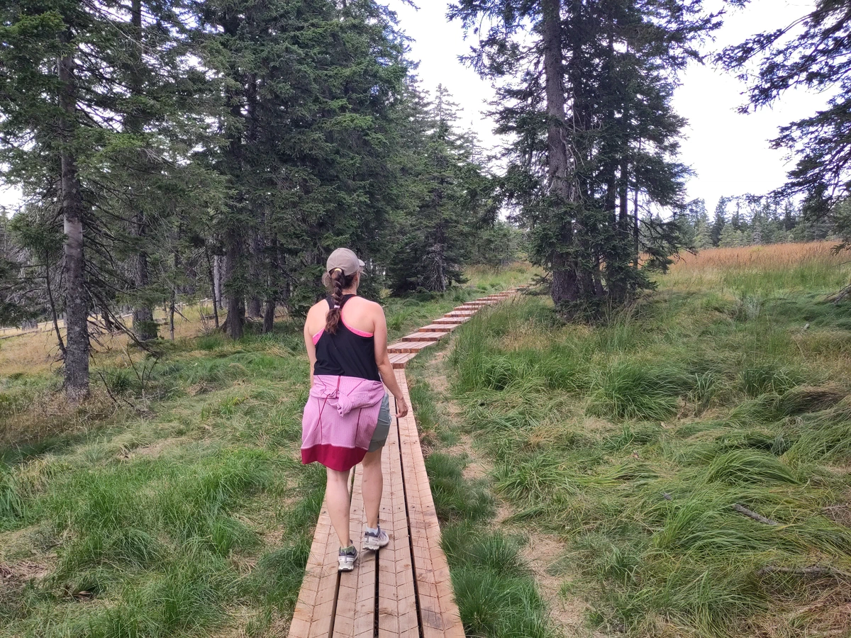 Eine Frau geht auf einem Holzbohlenweg durch ein Hochmoor